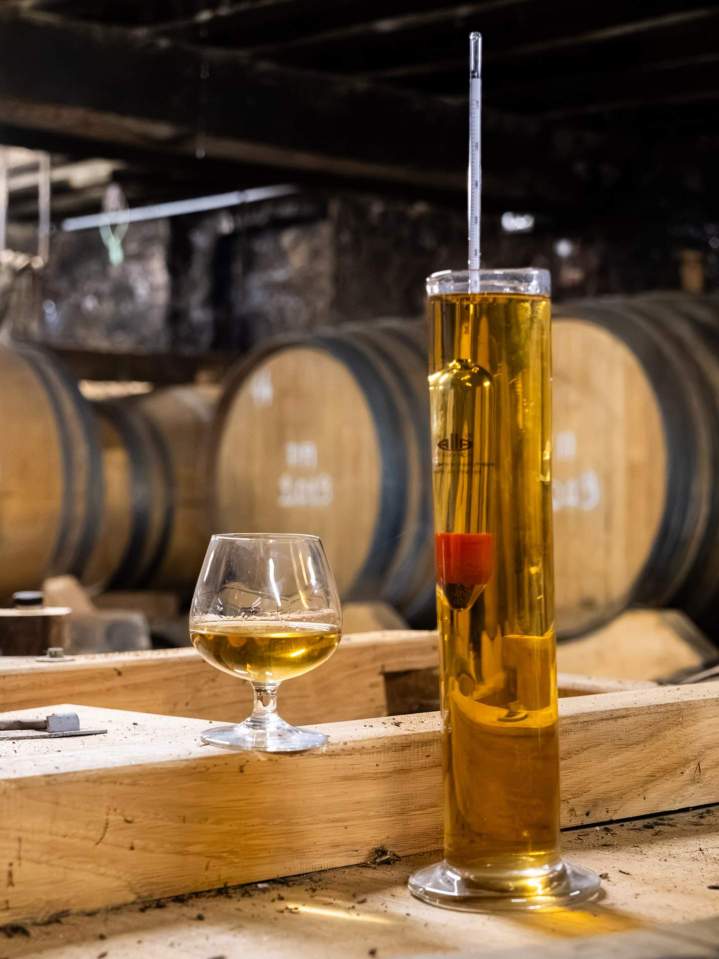 Producteur de cidre - Lisieux