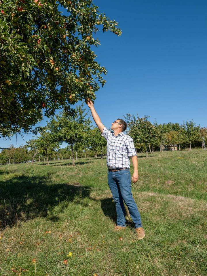 Producteur de cidre - Lisieux