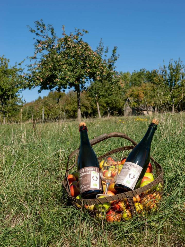 Producteur de cidre - Lisieux