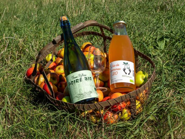Producteur de cidre - Lisieux