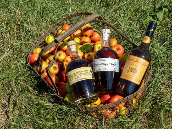 Producteur de cidre - Lisieux