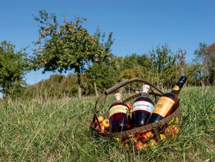 Savourez nos jus de pomme, 100% pur jus et naturels.