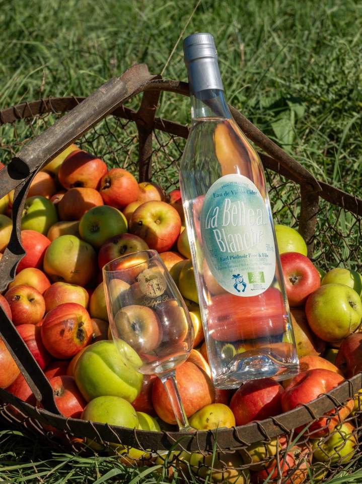Producteur de cidre - Lisieux