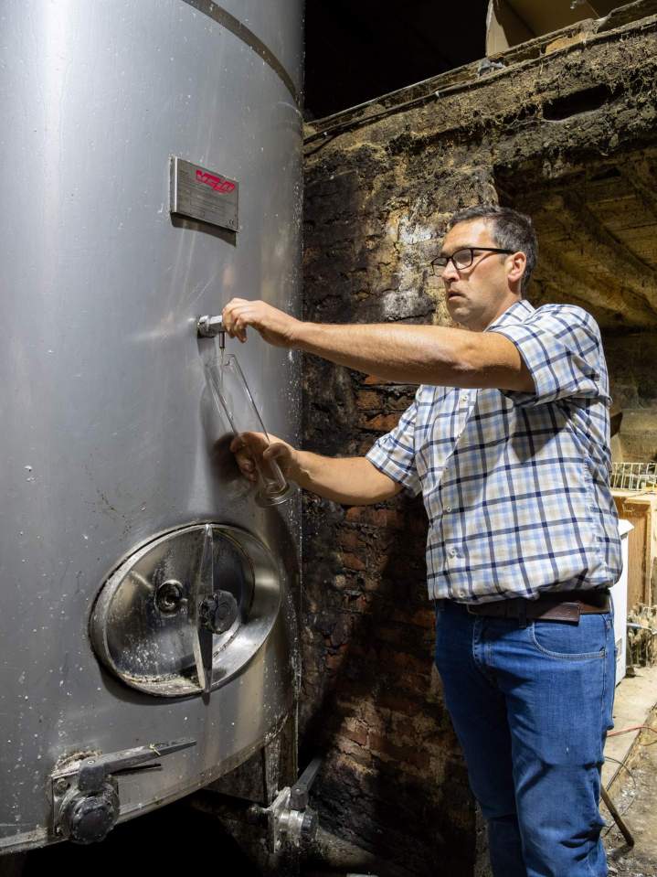 Producteur de cidre - Lisieux