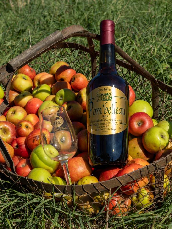 Producteur de cidre - Lisieux