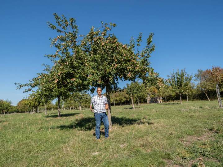 Producteur de cidre - Lisieux