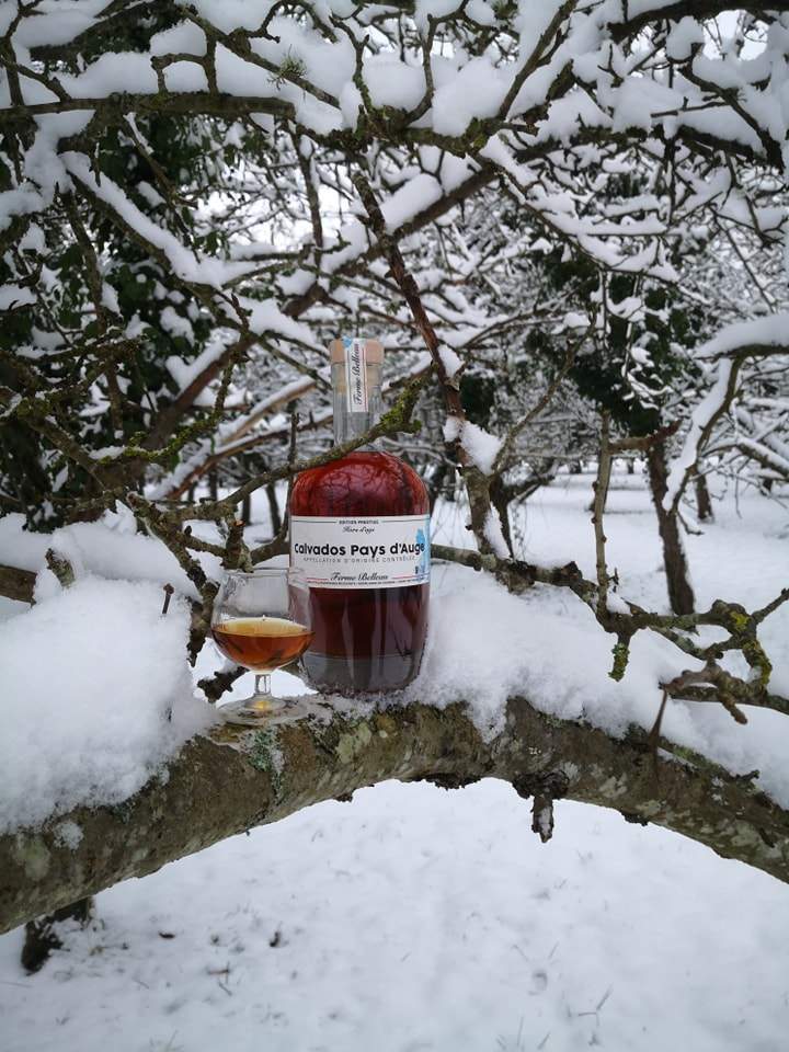 Producteur de cidre Lisieux